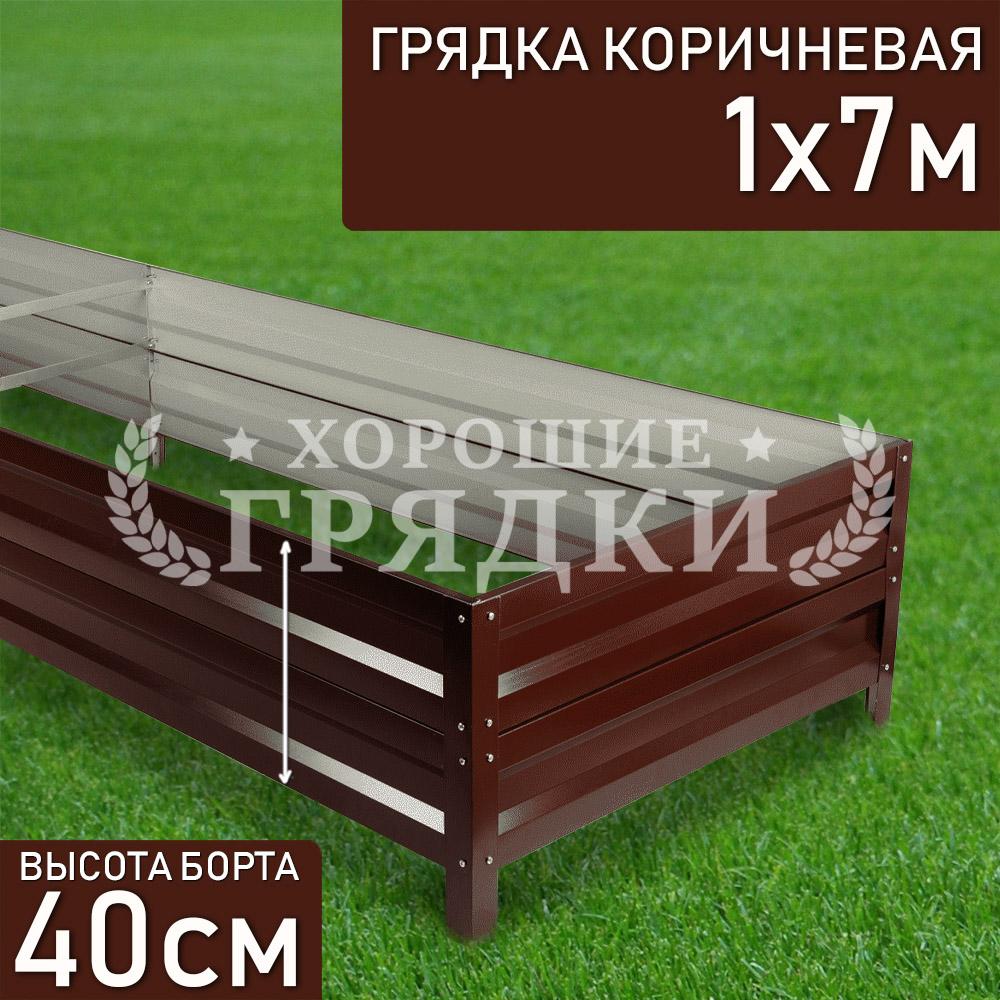 40-коричневая-1-7